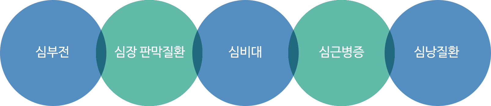 심장초음파로 진단가능한 질병, 심부전, 심장 판막질환, 심비대, 심근병증, 심낭질환